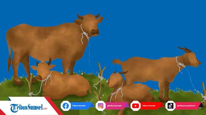 30 Ide Tema Kegiatan Qurban Idul Adha 1444 H/2023 Terbaik, untuk Dicantumkan Pada Spanduk Acara