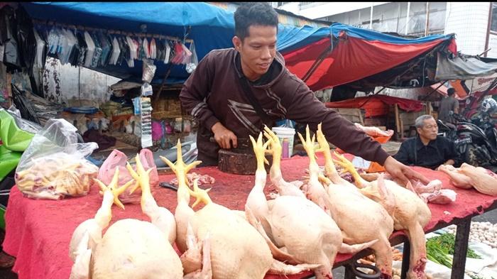 Harga Ayam Potong di Lubuklinggau Tembus Rp 40 Ribu Perkilo, Merangkak Naik Jelang Ramadan