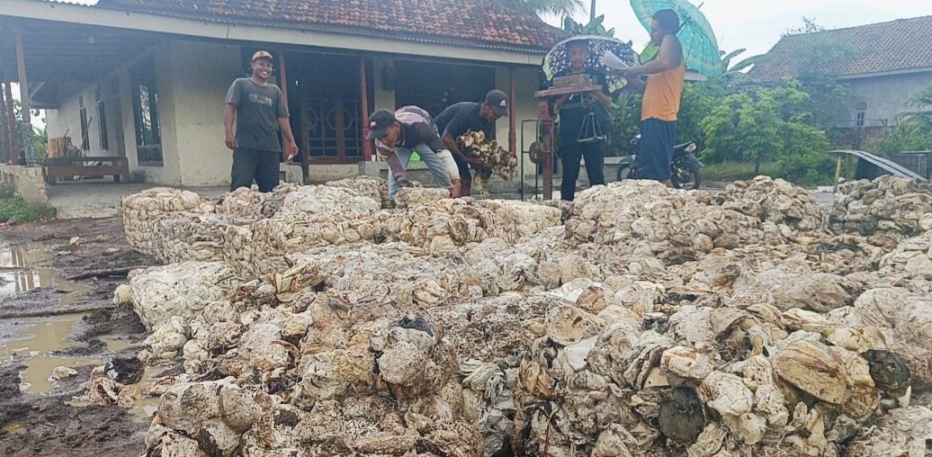 Harga Karet di OKI Tembus Rp17.000, Jadi Rekor Tertinggi Sepanjang Tahun 2026