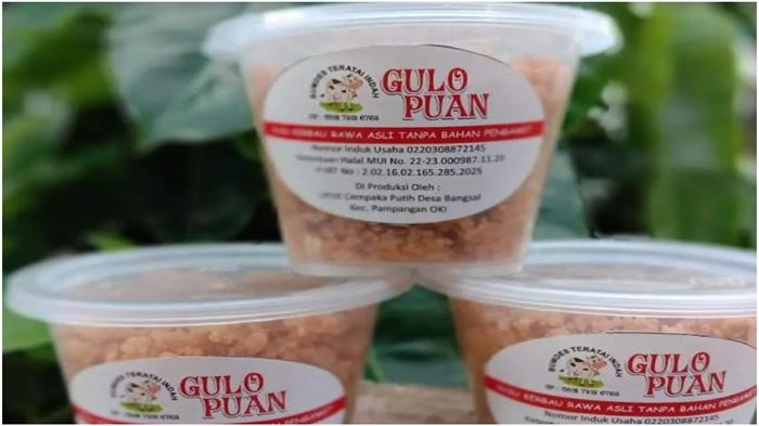 Resep Gulo Puan Palembang, Sejarah Kuliner Khas Sumsel Kegemaran Sultan, Bahan Susu Kerbau