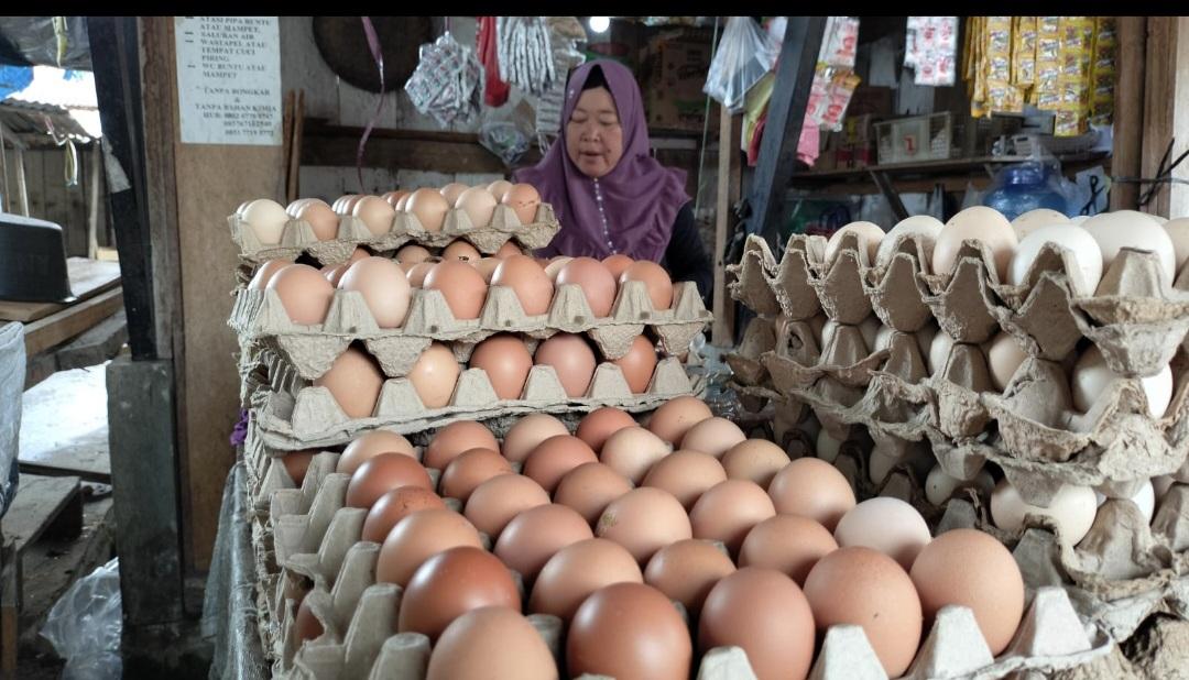 Harga Daging Ayam di Musi Rawas Dijual Rp37 Ribu per Kilo, Telur Ayam Ras Rp50 Ribu per Karpet - Tribunsumsel.com