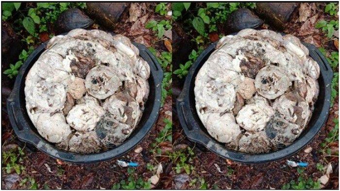 Harga Karet di Palembang: Update Harga Karet Harian dan Mingguan di OKU Timur