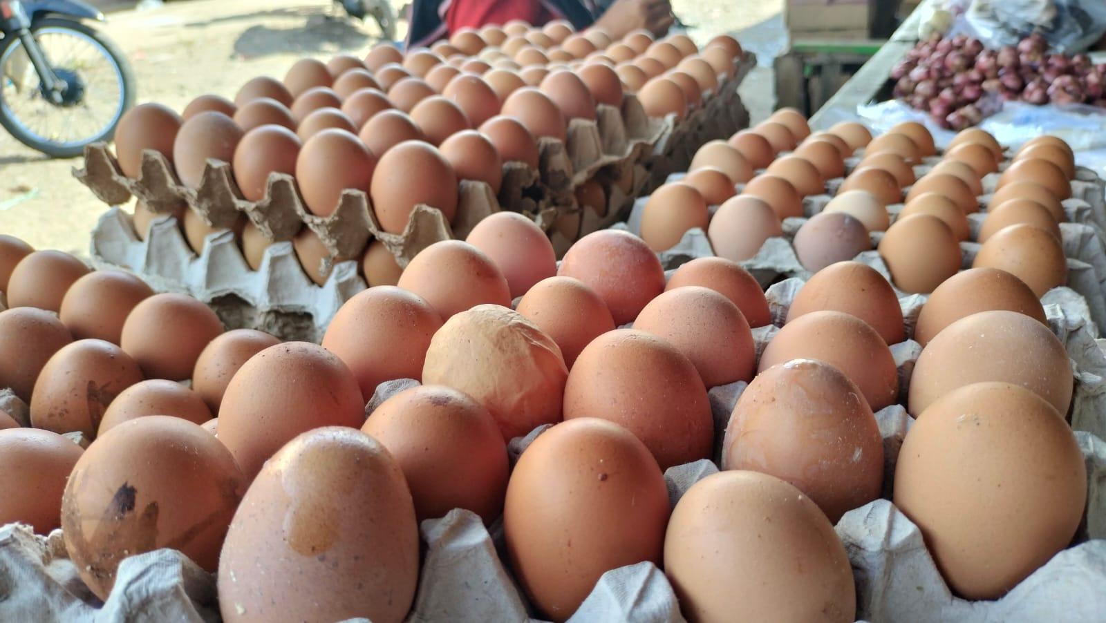 Harga-Telur-Ayam-Ras-2-Juli-2025-di-Musi-Rawas.jpg