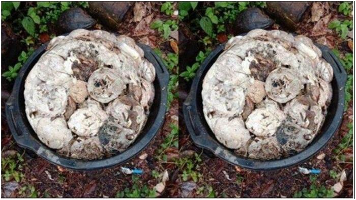 Harga Karet Palembang: Harga Karet Sumsel Hari Ini Naik Tipis, KKK 100 Persen Rp 19.755