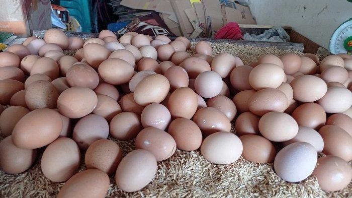 Harga-telur-ayam-naik-drastis-tembus-Rp-30-ribu-perkilo.jpg