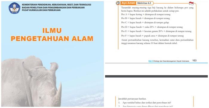 IPA-Kelas-7-SMPMTS-Halaman-163-164-Kurikulum-Merdeka.jpg