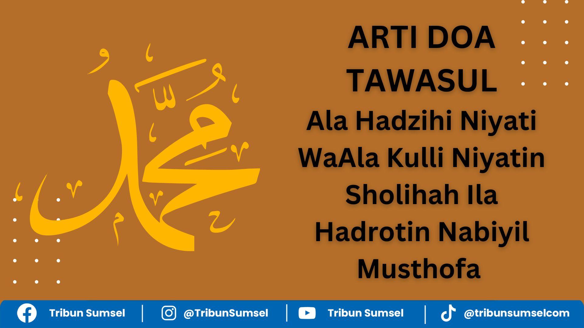 Kokrak va mushuk fotosurati