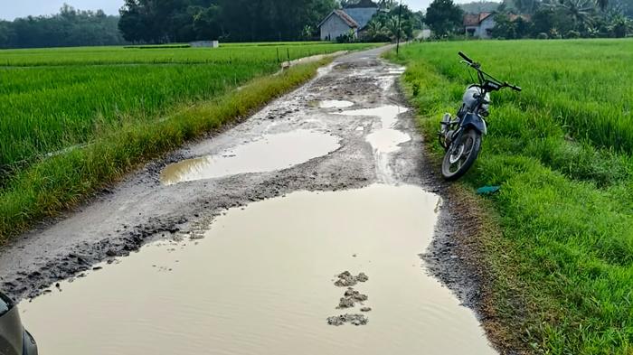 Jalan-Penghubung-Desa-Margo-Tani-Sri-Mulyo-Tapus-OKU-Timur-Rusak-Parah-Warga-Tagih-Janji-Bupati.jpg
