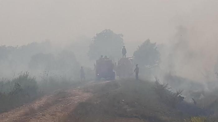 Kabut-Asap-Mulai-Melanda-Jalinsum-Palembang-Indralaya-Akibat-Kebakaran-Lahan-di-Palem-Raya-Ogan-Ilir.jpg