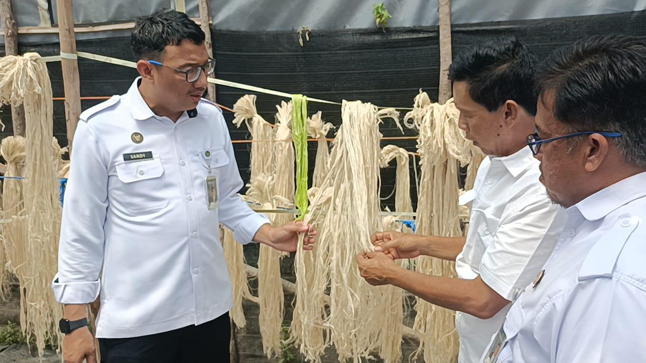 Berhasil Olah Serat Nanas, WBP Rutan Prabumulih Diapresiasi Kakanwil Ditjenpas - Tribunsumsel.com