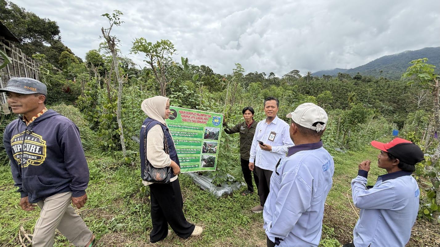 Kanwil-DJPb-Sumsel-melakukan-pendampingan-untuk-memberdayakan-petani-kopi.jpg