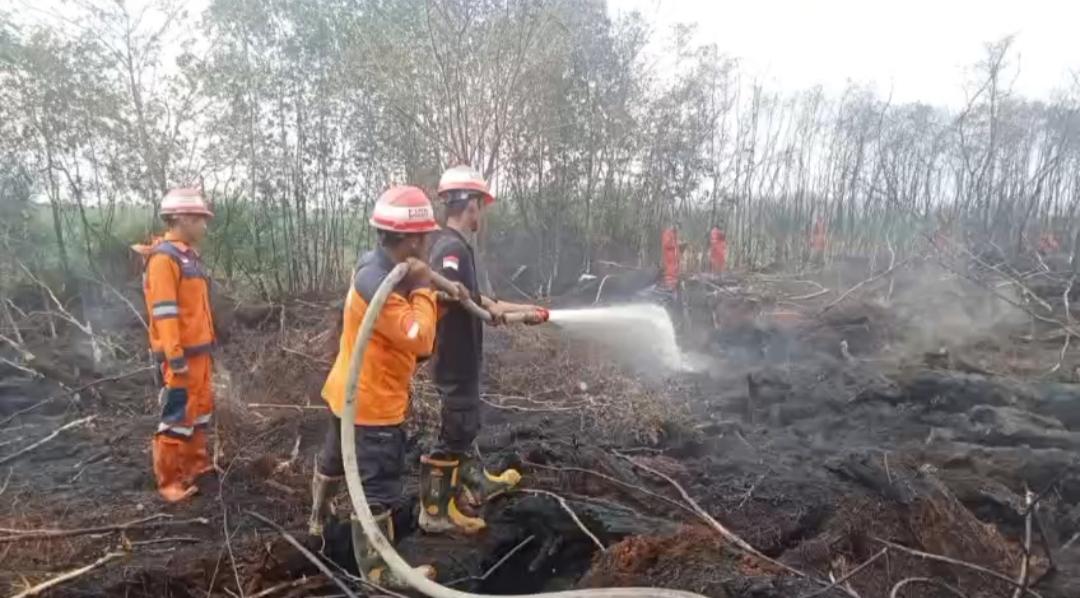 Masuk Musim Kemarau, Selama Juli 2026 Tercatat ada 493 Hotspot Terdeteksi di Sumsel - Tribunsumsel.com