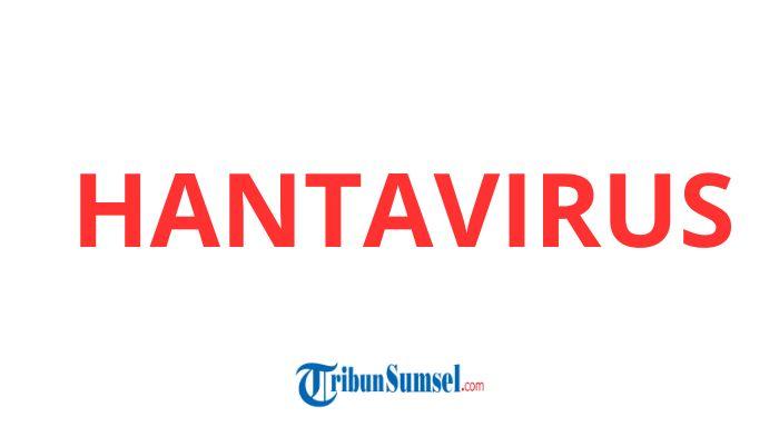 Tribun