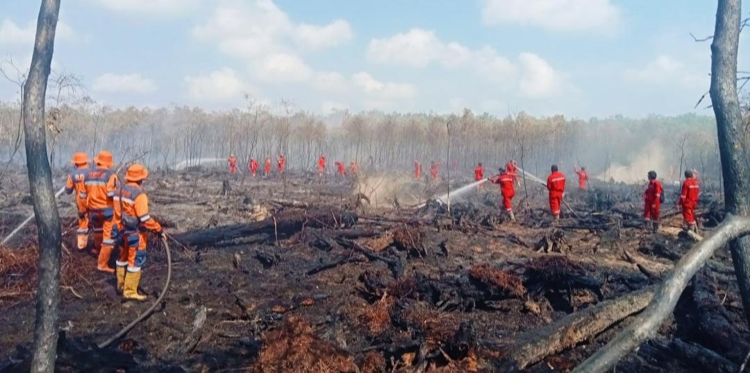 Kebakaran Lahan di Pedamaran Timur OKI Sulit Dipadamkan Karena Muka Air Gambut Menyusut - Tribunsumsel.com