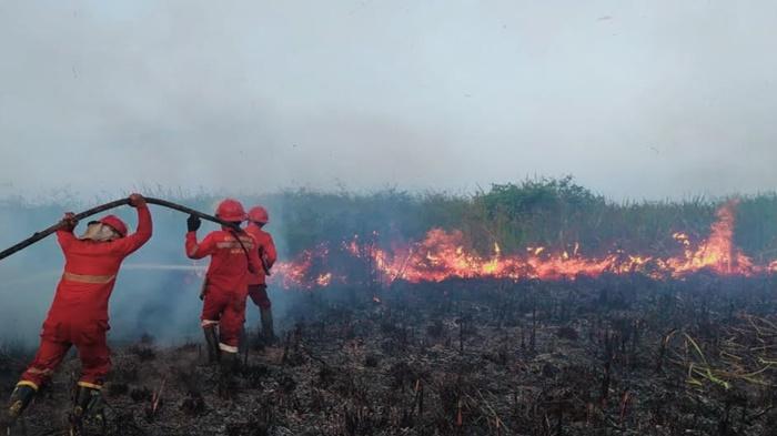 Kebakaran Semak Belukar Dekat Tol Kayuagung-Palembang, 1 Hektar Lahan Hangus