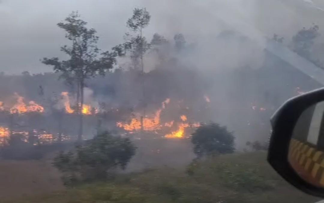 Kebakaran-lahan-di-dekat-kilometer-58-ruas-Tol-Indralaya-Prabumulih-Sabtu-2382025.jpg