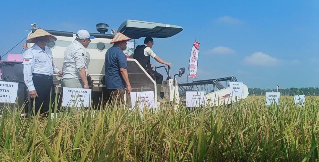 Surplus Beras  Sebesar 257.145 Ton,  Pemkab OKI Buka 11 Ribu Hektare Sawah Baru