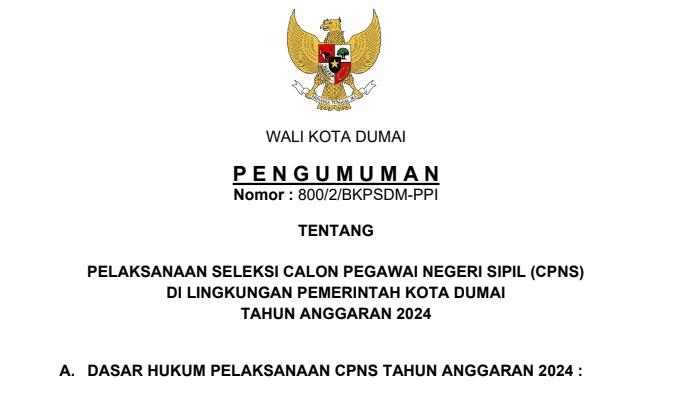 LINK-Unduh-PDF-Rincian-Formasi-CPNS-2024-BKD-Pemkot-Dumai-Ada-270-Alokasi-Kesehatan-dan-Teknis.jpg