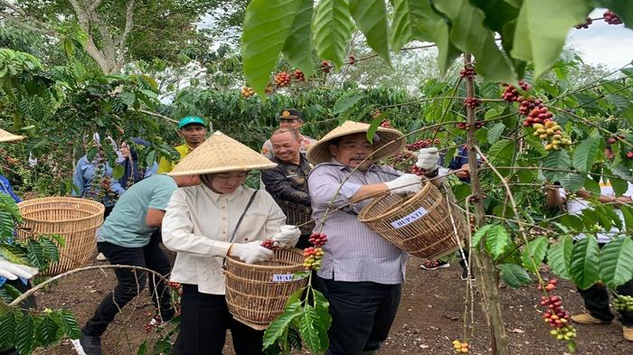 Langkah-Pemkab-Lahat-Majukan-Sektor-Kopi.jpg