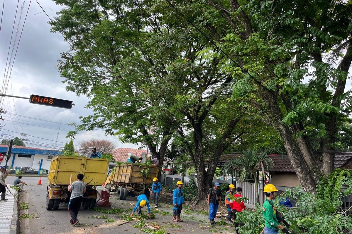 PLN ULP Muara Enim Tingkatkan Keandalan Listrik di Program Right of Way, Sinergitas Dinas Perkimtan