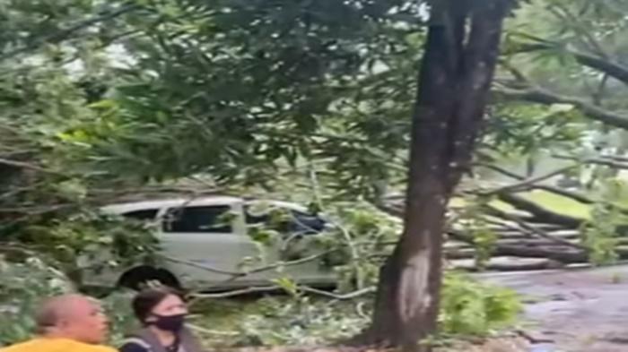 Pohon-Tumbang-di-JSC-Palembang-Timpa-Mobil-Satu-Keluarga-yang-Lagi-Piknik.jpg