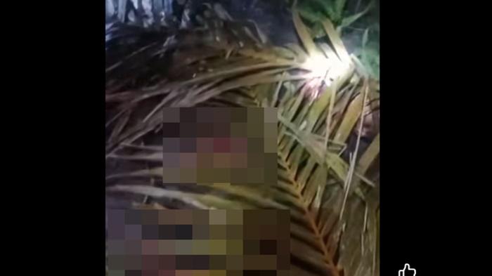 Polisi-Selidiki-Misteri-Dua-Pria-Ditemukan-Tewas-di-Bersimbah-Darah-di-Desa-Sungai-Ibul-PALI.jpg