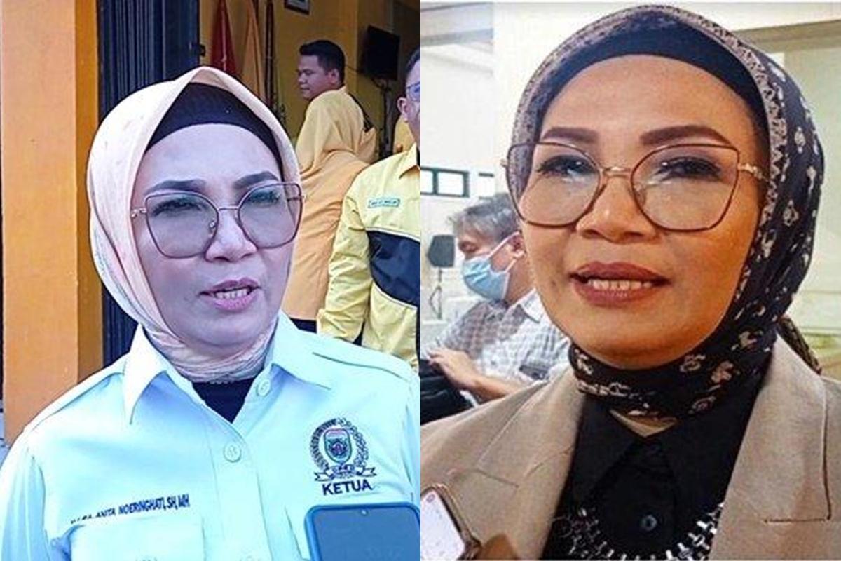 Profil-Anita-Noeringhati-Disebut-Bakal-Dampingi-Mawardi-di-Pilgub-Sumsel-2024-Singa-Betina-Parlemen.jpg