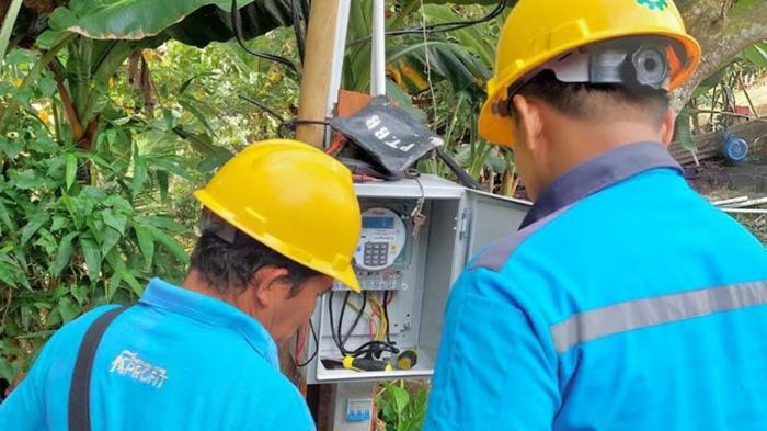 Program-Electrifying-Agriculture-PLN-Mampu-Tekan-Biaya-Operasional-Petani-Bawang-di-Enrekang-Sulsel.jpg
