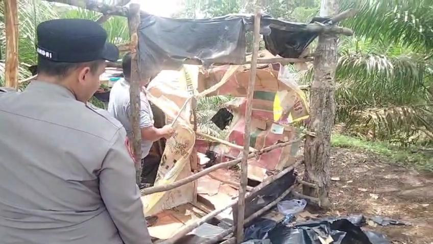 Resahkan-Warga-Karena-Jadi-Tempat-Pesta-Narkoba-7-Pondok-Liar-di-Perkebunan-Muratara-Dibongkar.jpg