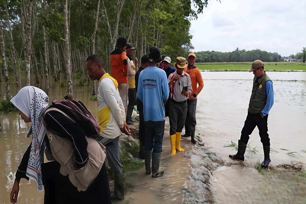 Ribuan-hektar-lahan-persawahan-di-wilayah-Kecamatan-Lempuing-Jaya.jpg