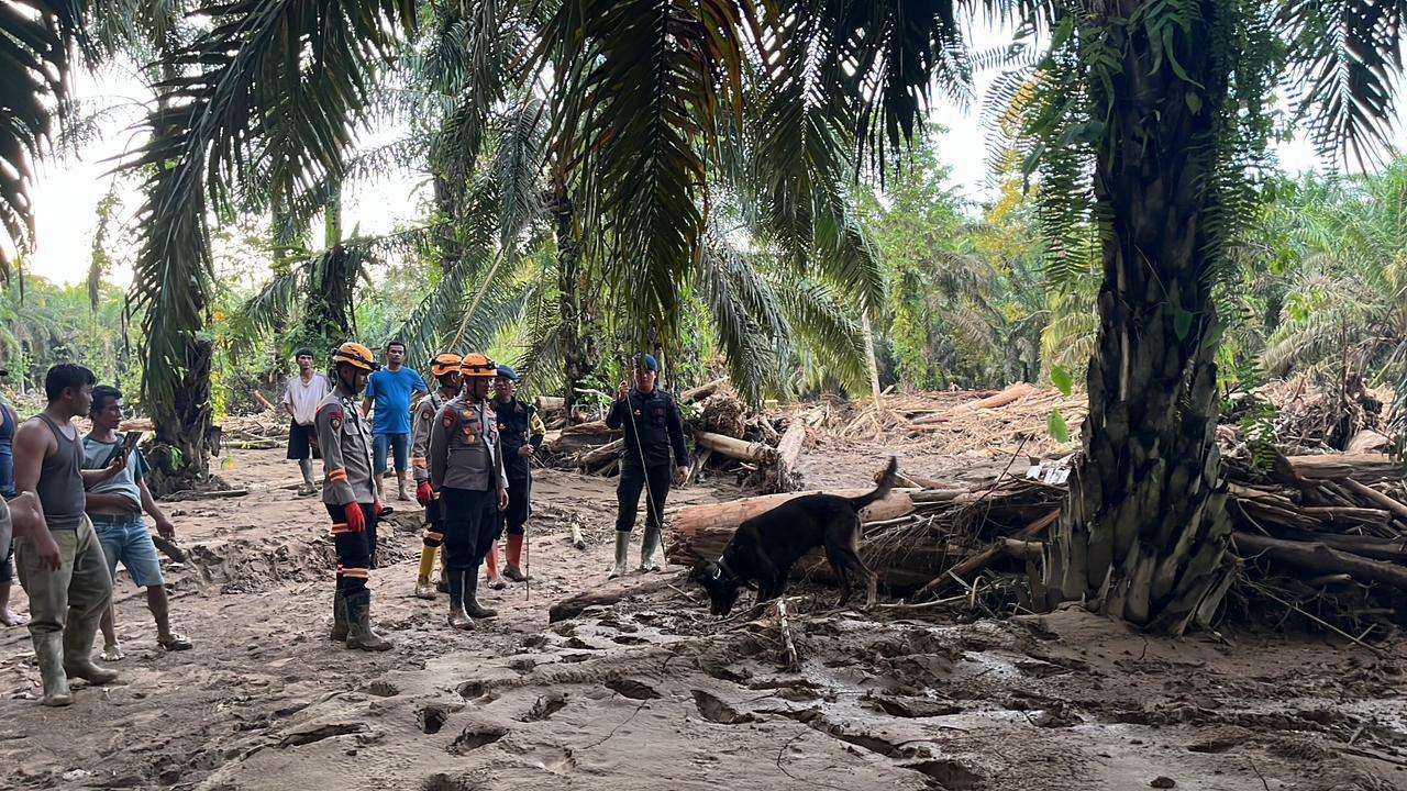 K9 Ditpolsatwa Baharkam Polri Turunkan 4 Anjing Pelacak, Bantu Bencana di Bantaran Sungai Huta Raja