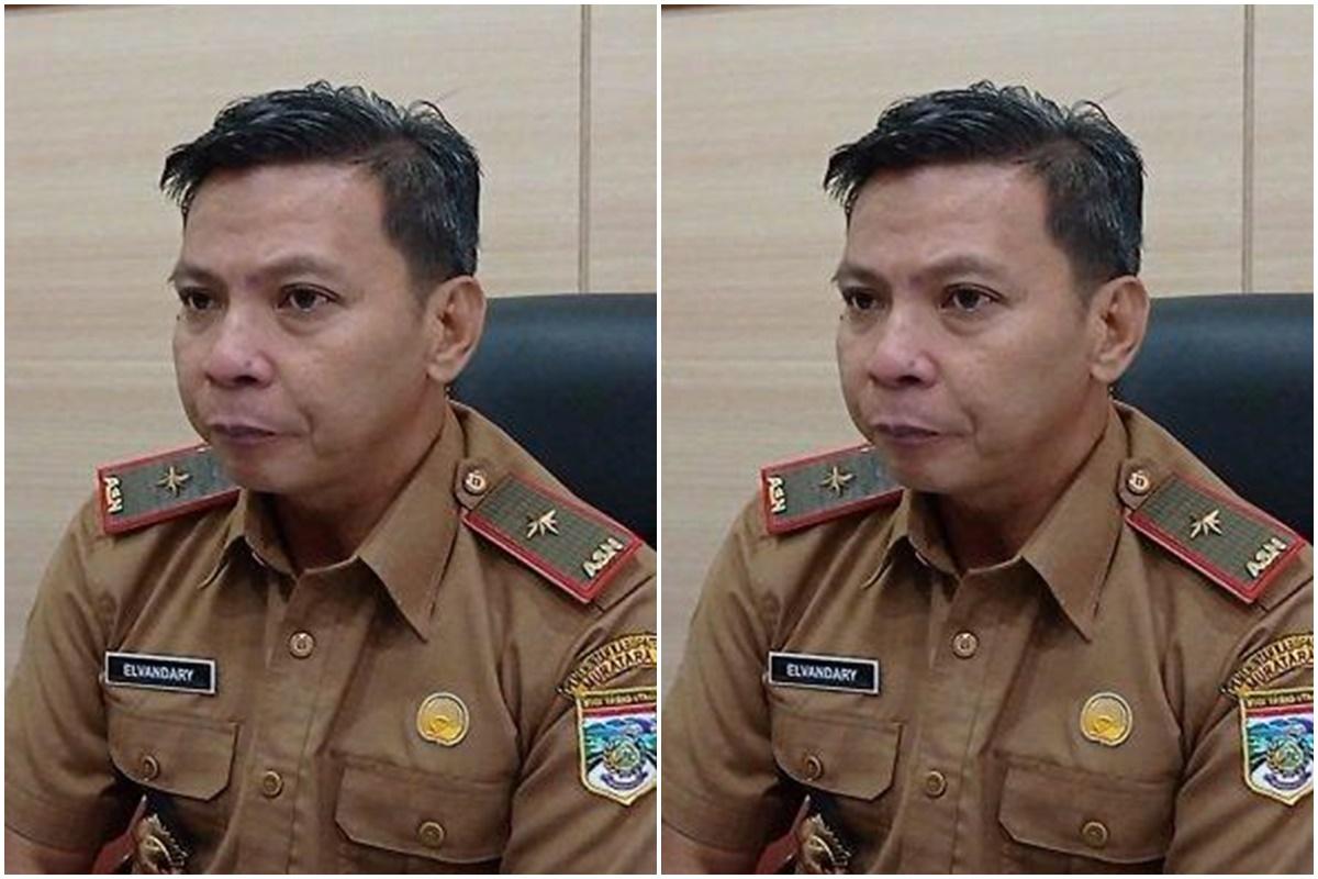 Sosok-Elvandary-Lolos-Seleksi-Administrasi-Calon-Sekda-Pemprov-Sumsel-Putra-Daerah-Asli-Muratara.jpg