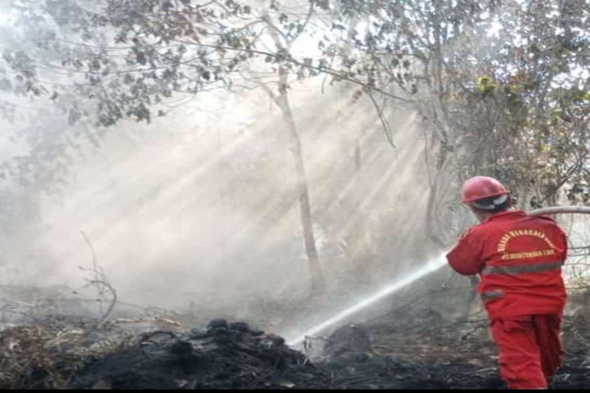 Suhu-Udara-di-OKI-Capai-36-Derajat-Titik-Panas-Kebakaran-Hutan-dan-Lahan-Bertambah.jpg