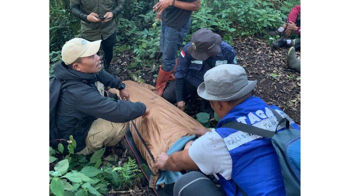 Tersesat Saat Mendaki Gunung Dempo Pagar Alam, Pemuda Asal Palembang Ditemukan Kedinginan di Hutan - Tribunsumsel.com