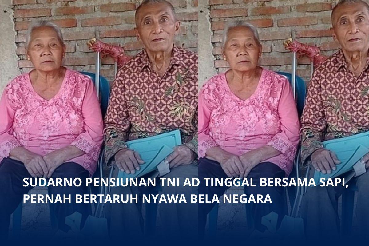Sosok Sudarno Veteran di Magetan Tinggal Bersama Sapi, Pensiunan TNI AD Pangkat Sersan Mayor