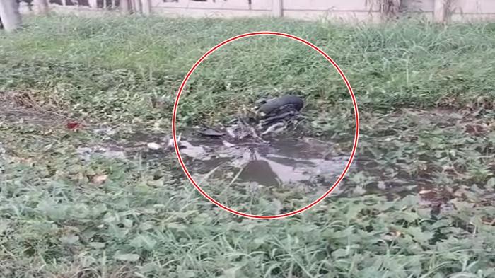Viral 2 Pemotor Tewas Ditabrak Lari di Jalan Soekarno-Hatta Palembang, Ternyata Pasangan Kekasih