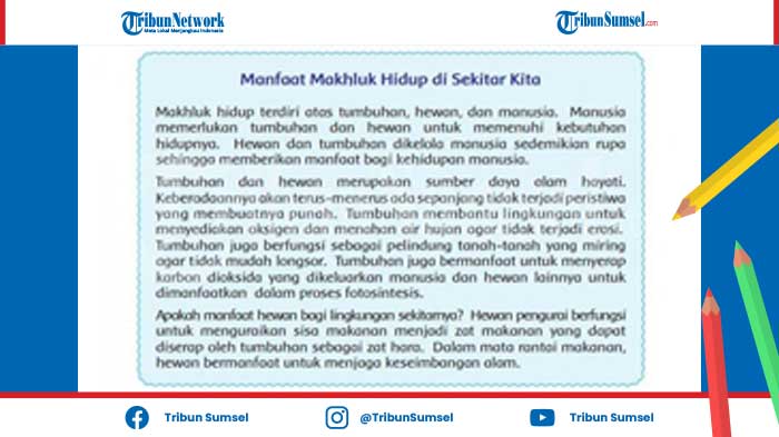 Apakah yang Terjadi pada Daerah Tidak Subur Sehingga Tumbuhan Sulit Tumbuh? Kunci Jawaban Kelas 4