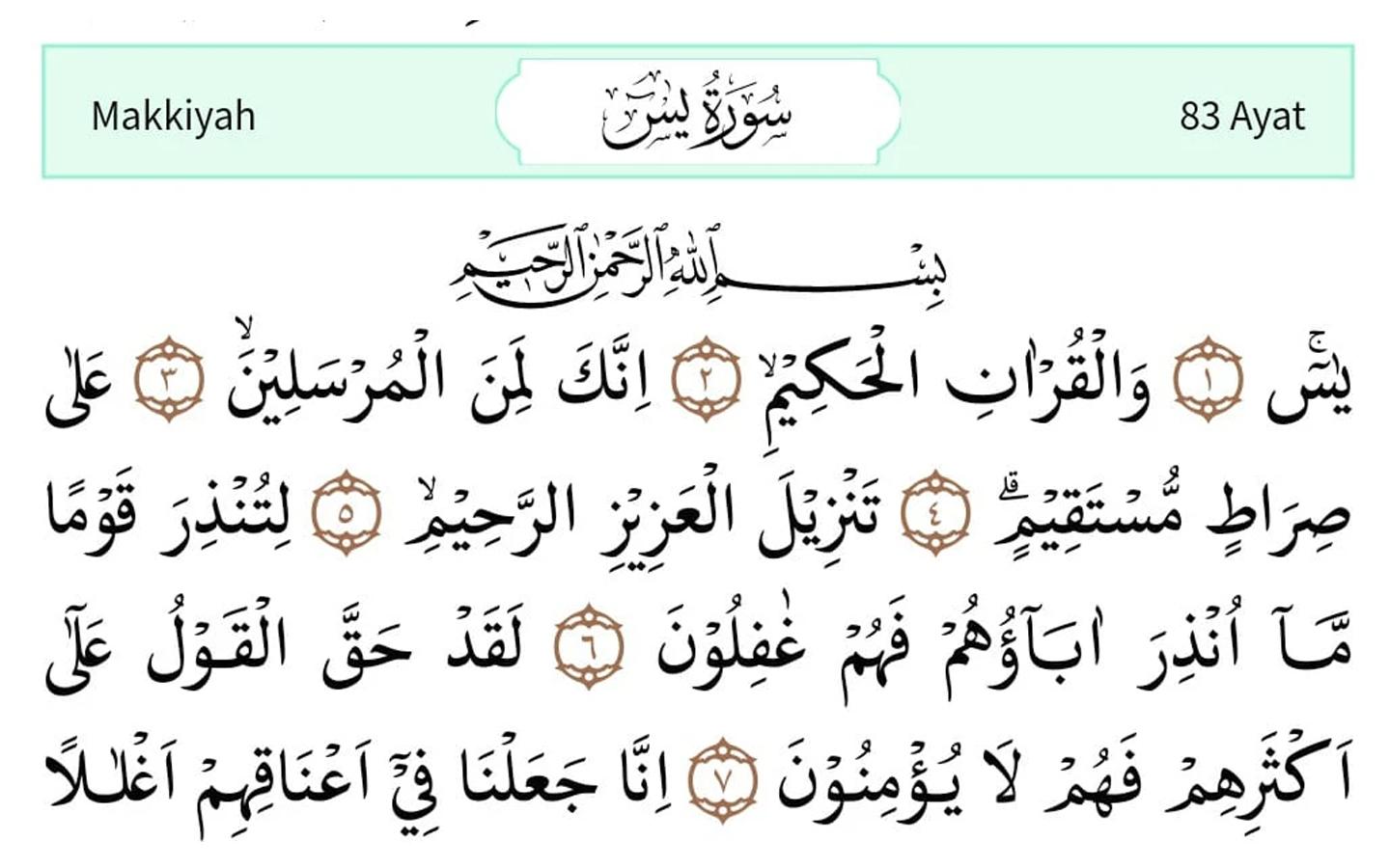 Dik surati bilan ozini sikish