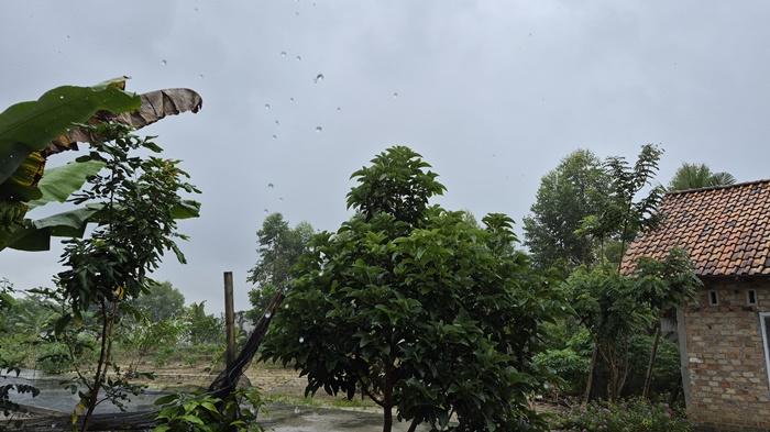 Prakiraan Cuaca OKU Timur Sabtu 17 Januari 2026, Didominasi Hujan Ringan