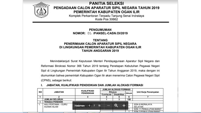 download-pdf-rincian-formasi-cpns-kabupaten-oi-ogan-ilir-2019-ini-syarat-pendaftaran.jpg