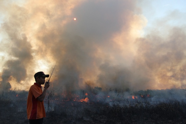 Ada 240 Hotspot Selama Agustus 2018, 15 Helikopter Atas Karhutla di Sumsel