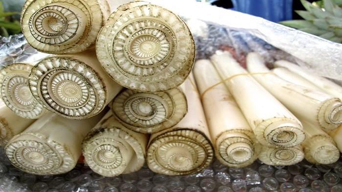 Jarang Diketahui, Manfaat Gedebog atau Batang Pisang Bagi Kesehatan, Obati Batu Ginjal hingga Diet