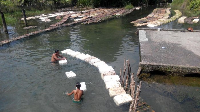 Harga Karet Sumsel Hari ini Jumat 15 Januari 2021, Kembali Turun Tipis