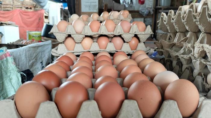 Harga Sembako di Sumsel Selasa 9 Desember 2025, Telur Ayam Ras Naik Jadi Rp 28.755/ Kg