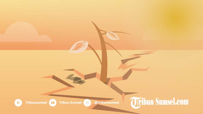 Kemarau 2026 Diprediksi Akhir Mei, 3 Kabupaten di Sumsel Ajukan Status Siaga Karhutla