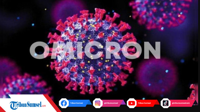 Delapan Negara Disebut WHO Sudah Terbebas Dari Pandemi Covid-19, Berikut Daftarnya