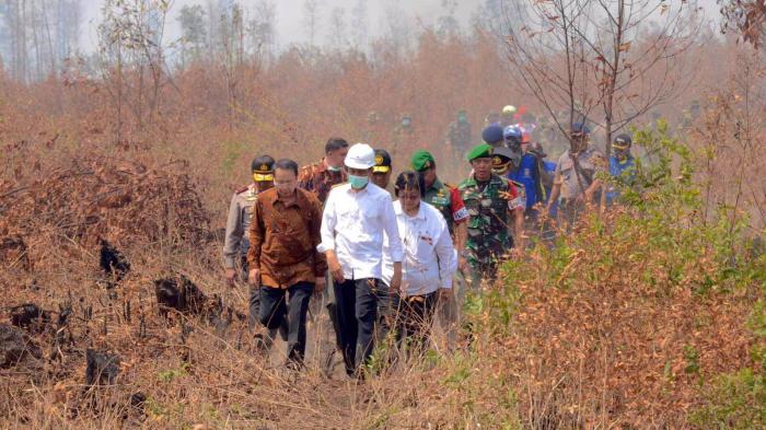 jokowi-meninjau-lokasi-titik-api-kebakaran-lahan-di-wilayah-kalimantan-selatan_20150923_193428.jpg