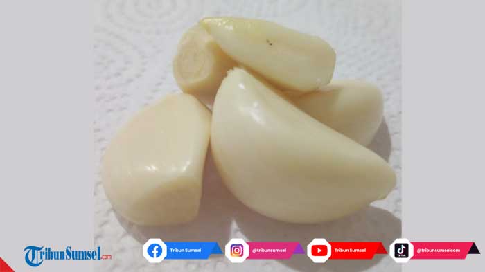 manfaat-bawang-putih-dalam-mengatasi-bisul-lakukan-hal-berikut-agar-cepat-kempes-dan-tidak-radang.jpg