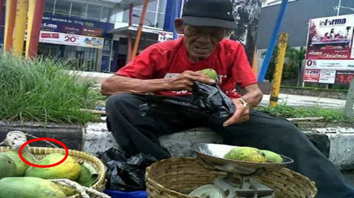 4 Ibu Ini Tawar Harga Mangga Sangat Murah, Seorang Ibu Lainnya Datang Bikin Mereka Kaget Bukan Main