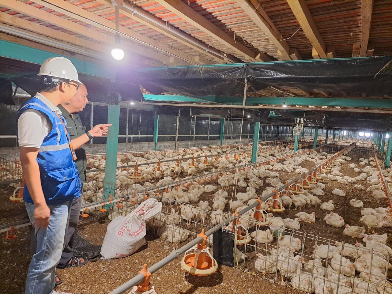 Tarif Listrik Triwulan II 2026 Tidak Naik, PLN Siap Jaga Keandalan dan Kualitas Layanan